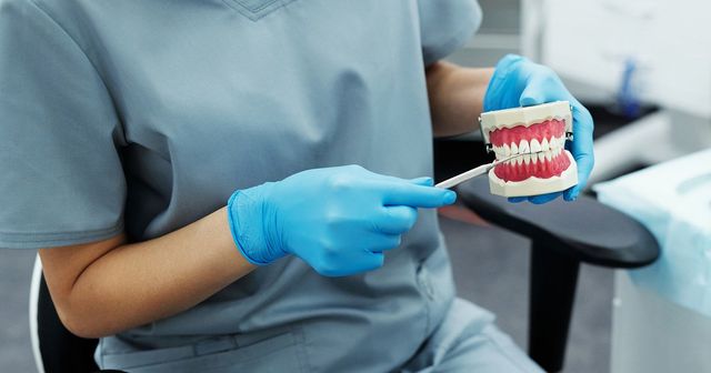 A dentist showing artificial dentures.
